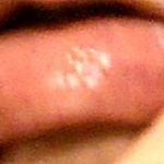 050312lipa