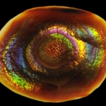 fire agate from heaven!