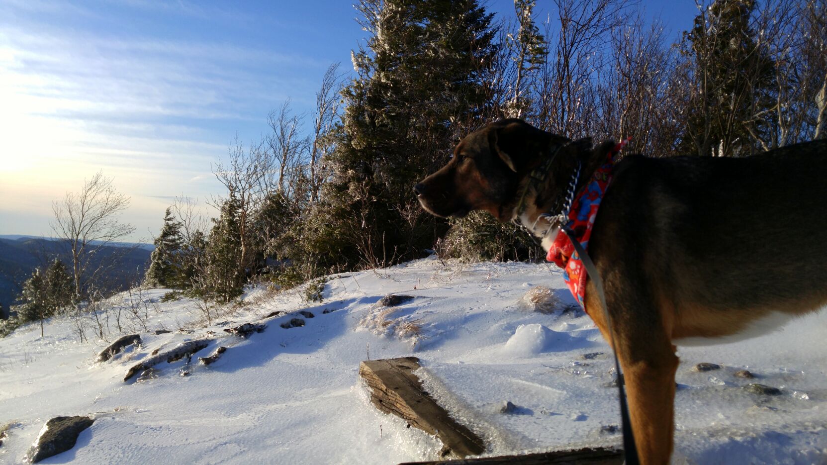 0111171520a-jpg.627577