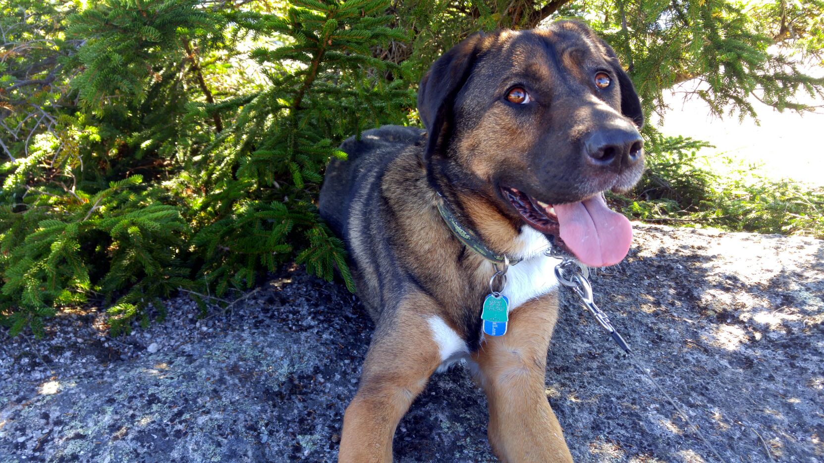 0906161541d-jpg.596609