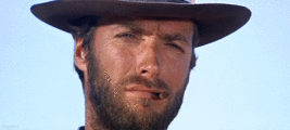 0be6c895-x120-gif.467177