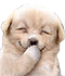 c__data_users_defapps_appdata_internetexplorer_temp_saved-images_8e89f596-gif.482684