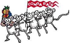 conga-rats-gif.600333