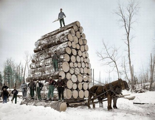 daily_picdump_1268_640_20-jpg.532195