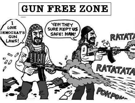 gun-laws-jpg.580343