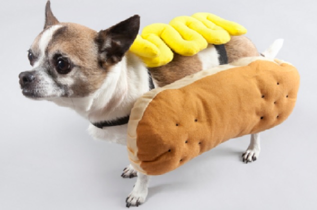 hallowen-hot-dog-jpg.503791