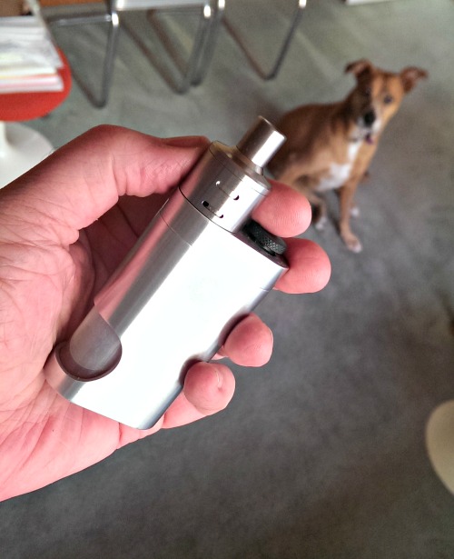 imag2016_picmonkeyed-jpg.596205