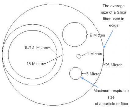 micron-size-comparison-jpg.183440
