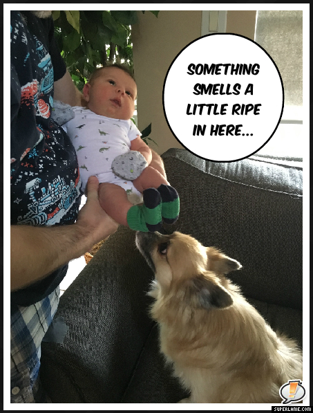 sparkyripe-jpg.543071