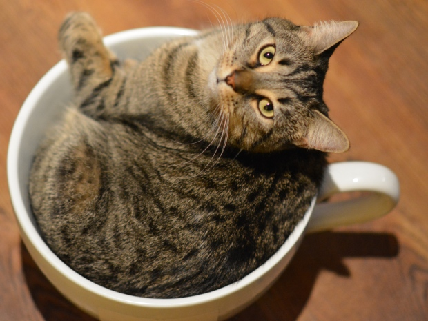 upload_2016-5-6_13-0-47-png.551519