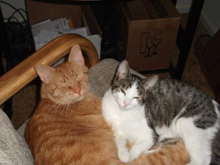 2 16 10 Basil and Penny