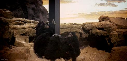 2001apes