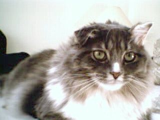2008 0223Image0001