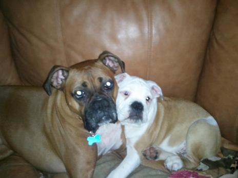 2012-04-12 23.08.38.jpg