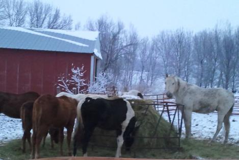 2012 12 17 16 55 34 Group Pic 
Lookin' out the window!