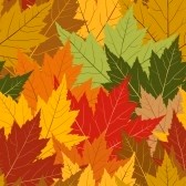 2456662 fall maple leaf seamless repeating background