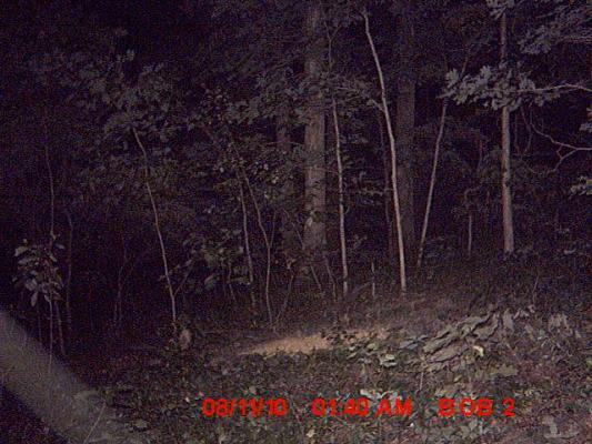 2nd right after ghost...left hand corner caught sometin