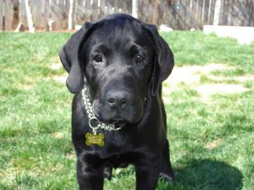 4mo