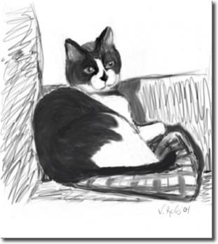 A quick sketch I did of my cat, Chip (RIP),when first trying out the Wacom. Gimp, using "pencil"