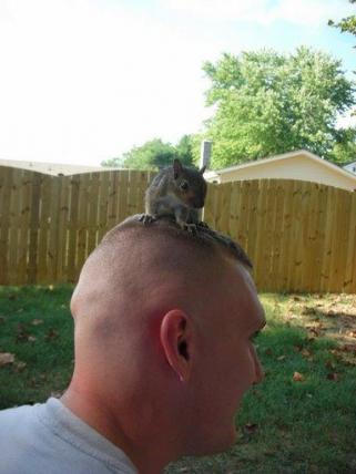 a squirrel on my head