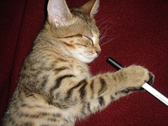 addicted vaper :D