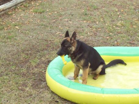 Alex -- 106 degrees Fahrenheit! ... justified pool break!