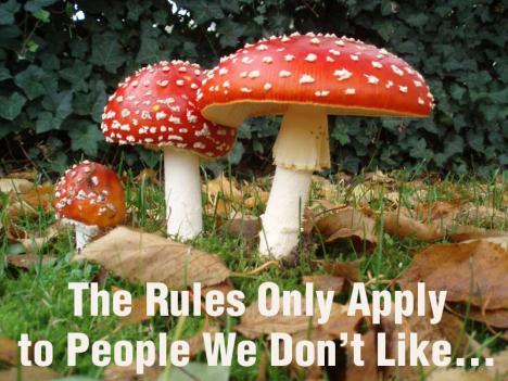 Amanita Rules