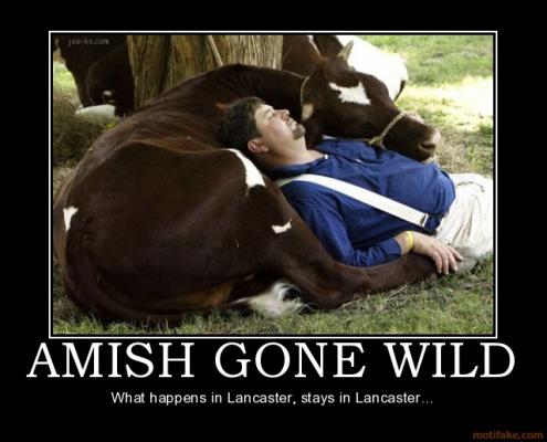 amish gone wild