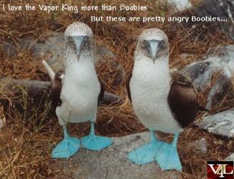 Angry.boobies