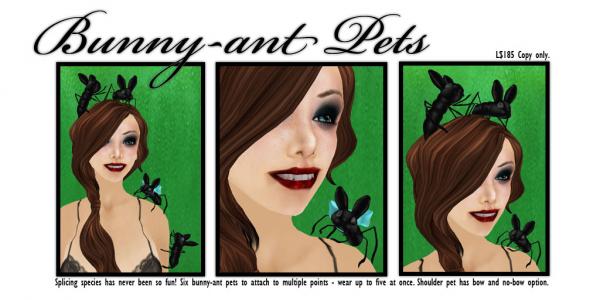 ant pets
