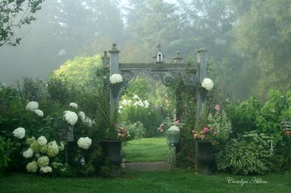 arbor 2