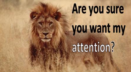 Attention