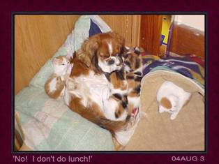 AUG3 Bubs - babysitting!