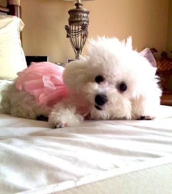 Baby Lulu in a Tutu