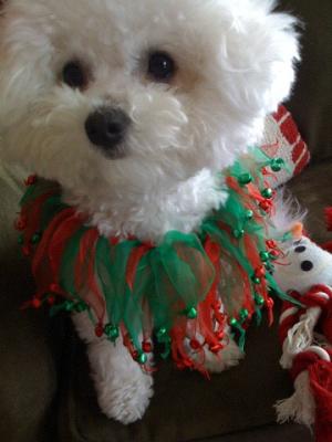 Baby Lulu's looking for Santa!