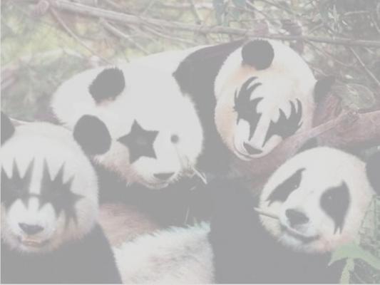 BackgroundPandaKISS