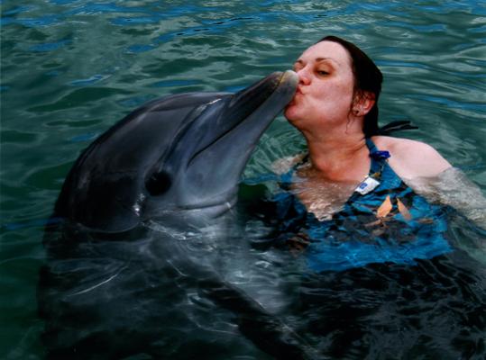 Bahamas...
DOLPHIN KISS
May 2010
