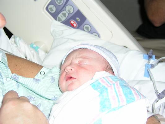 Bailey just born