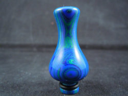Banded Malachite Long Neck