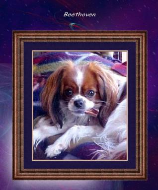 Beethoven PosterSquared