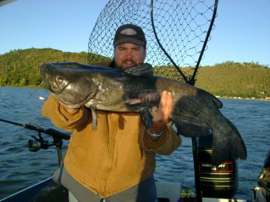 Big Male Channel Cat