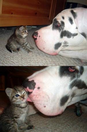 BIG & SMALL