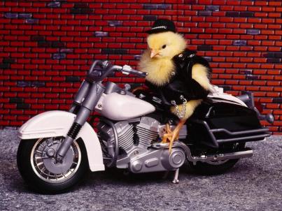 Biker Chick[1]