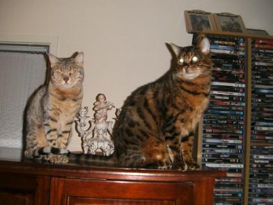 BILD0727