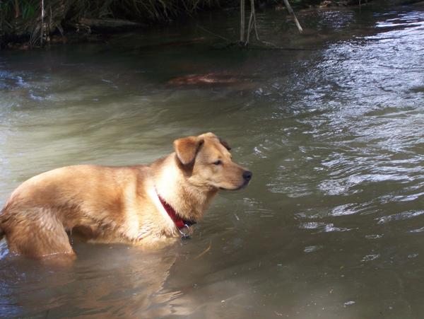 Bindi @ the River