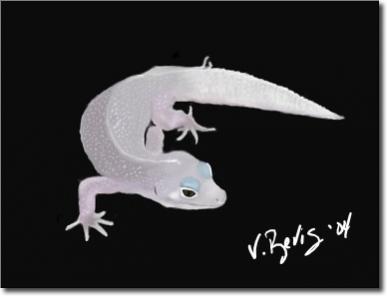 Blizzard Gecko, Wacom tablet. One of my faves.