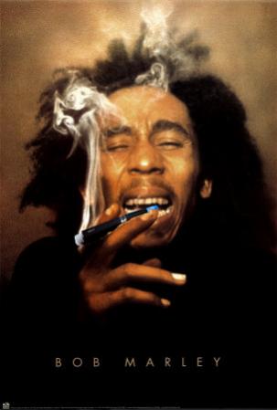 bob marley poster ego