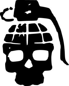 Borderlands skull