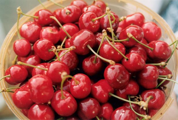 BowloCherries