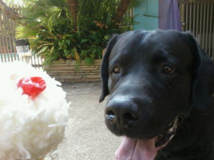 buck birthday